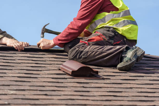 Best Roof Repair Services  in Harrisonburg, VA