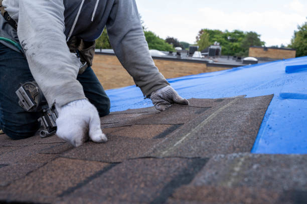 Best Roof Restoration Services  in Harrisonburg, VA