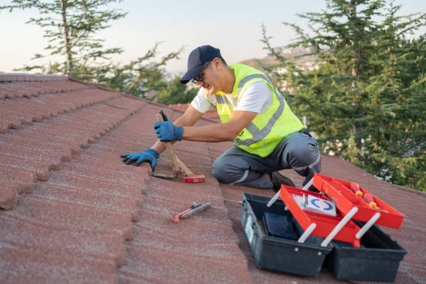 Best Residential Roof Replacement  in Harrisonburg, VA