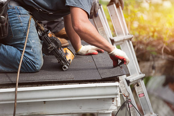 Best Roof Repair Specialists  in Harrisonburg, VA
