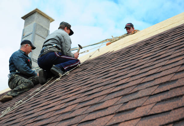 Best New Roof Installation  in Harrisonburg, VA