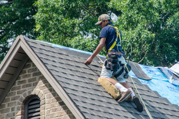 Best Best Roofing Contractors  in Harrisonburg, VA